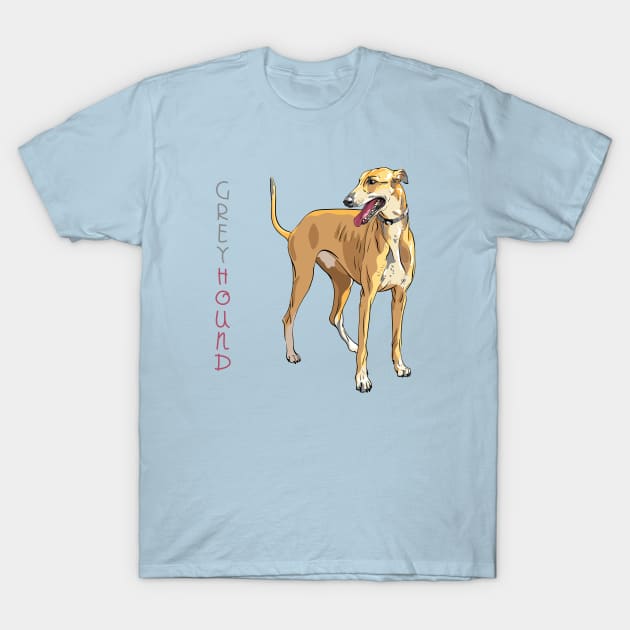 Dog breed Greyhound T-Shirt by kavalenkava